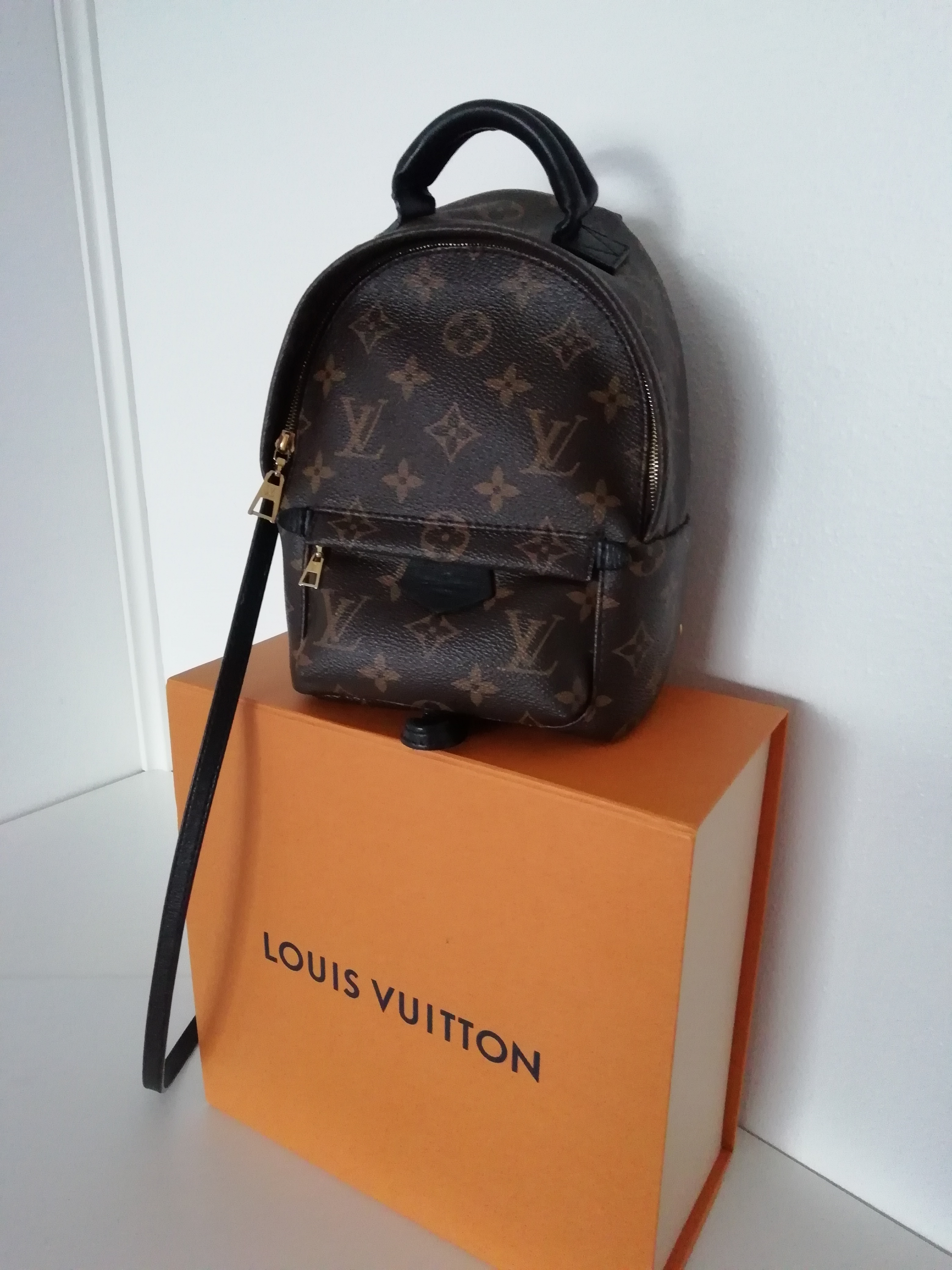 Louis Vuitton Palm Springs Mini backpack – Buy the goddamn bag
