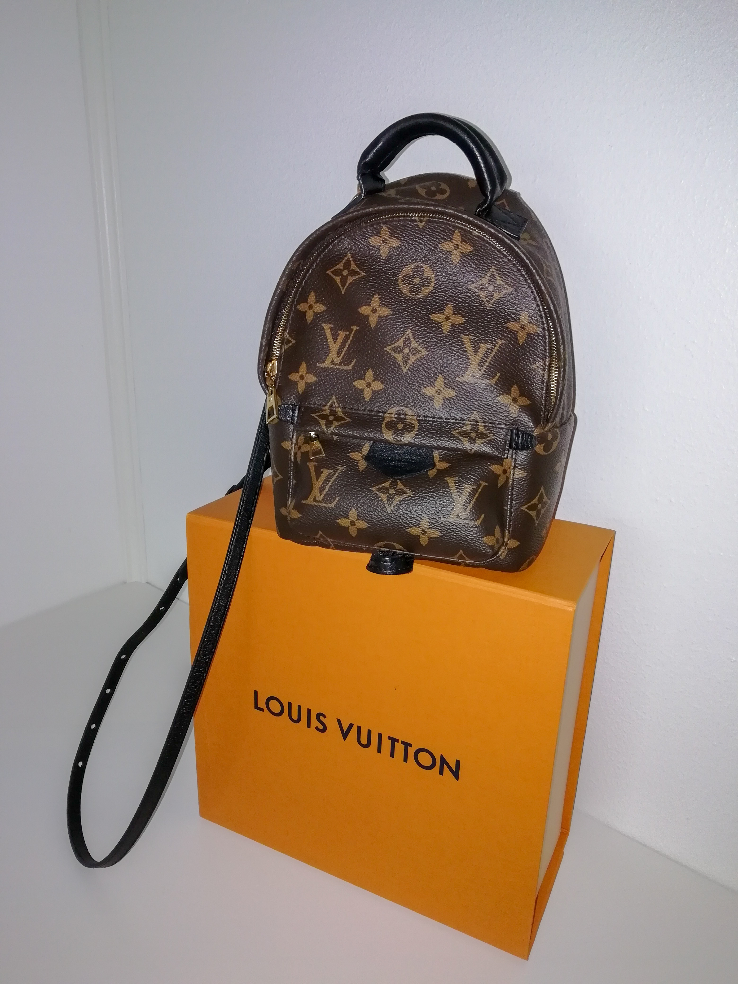 Louis Vuitton Palm Springs Backpack LV Airline Leather with
