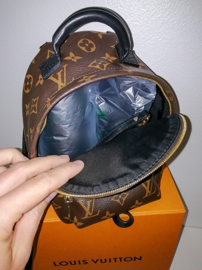 Louis Vuitton Palm Springs Mini – what fits? – Buy the goddamn bag