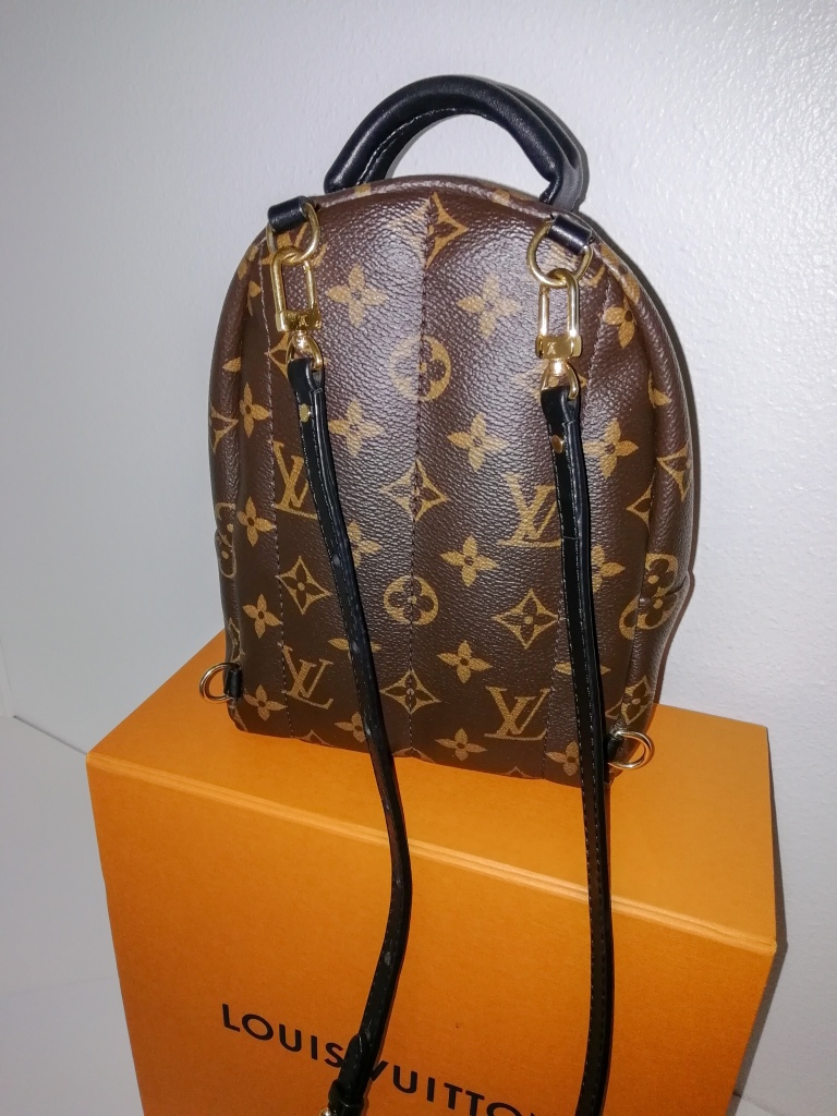 Louis Vuitton Palm Springs Mini – what fits? – Buy the goddamn bag